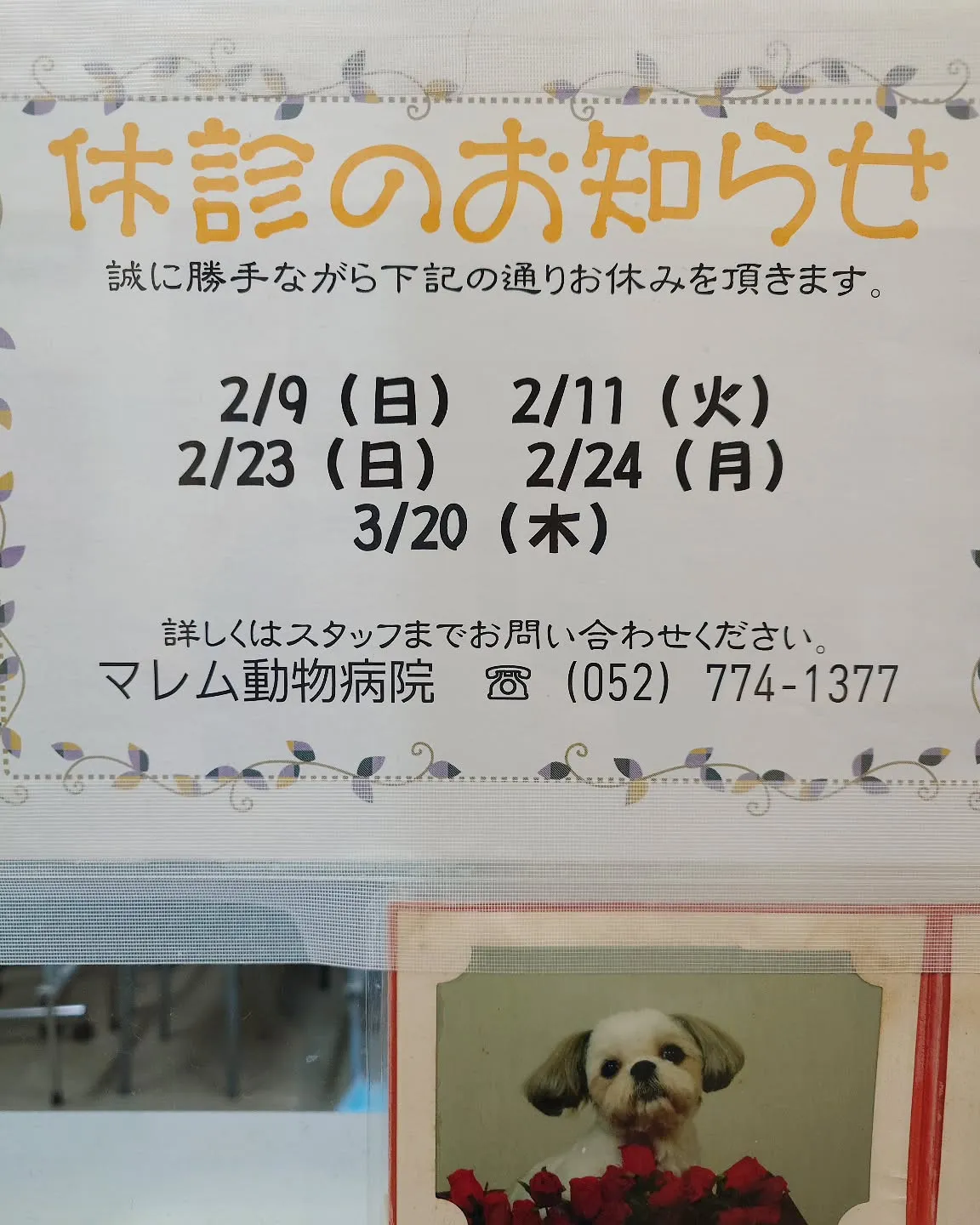 【お休みのお知らせ】2月と3月の休診【マレム動物病院】